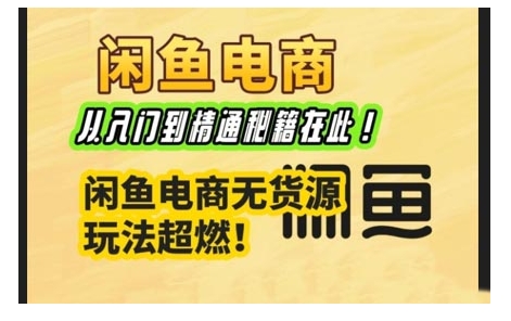 闲鱼电商实战课，从入门到精通秘籍在此，闲鱼电商无货源玩法超燃!-整合资源网