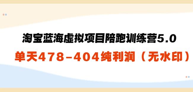 黄岛主：淘宝蓝海虚拟项目陪跑训练营5.0：单天478纯利润-秀人资源网