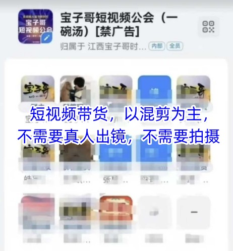 宝子哥头部团队短视频带货，以混剪为主，不需要真人出镜，不需要拍摄【更新】-秀人资源网