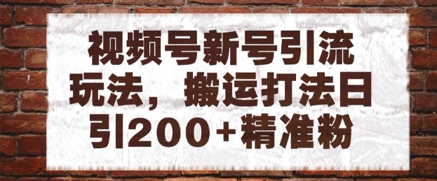 视频号新号引流玩法，搬运打法日引200+精准粉，可矩阵放大【揭秘】-秀人资源网