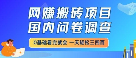 网创搬砖项目，国内问卷调查，小白轻松上手，一天三四张的也不难，干就完了【揭秘】-整合资源网