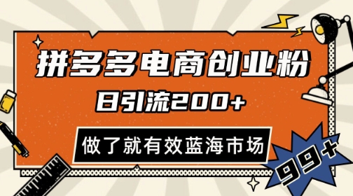 拼多多引流电商创业粉，日引200+，可矩阵放大，做了就有效【揭秘】-秀人资源网