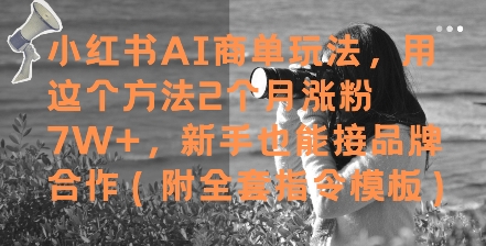 小红书AI商单玩法，用这个方法2个月涨粉7W+，新手也能接品牌合作(附全套指令模板)-秀人资源网