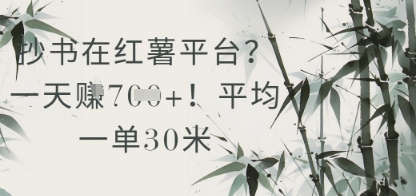 抄书在小红薯平台？平均一单30米，一天收益几张！-整合资源网
