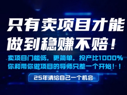 只有卖项目才能做到稳挣不赔，门槛低，更简单，你也可以年入百个W【揭秘】-秀人资源网