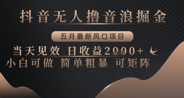 抖音无人撸音浪掘金，五月最新风口项目，当天见效，日收益多张，小白可做简单粗暴可矩阵【揭秘】-秀人资源网
