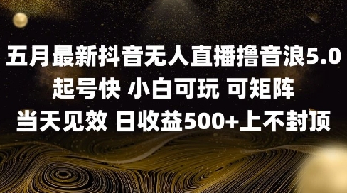 2025五月最新无人直播撸音浪单日产出5张+实操教程【揭秘】-秀人资源网
