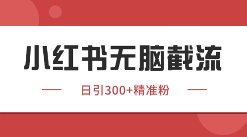 小红书只要你有同行就能获客，独家野路子获客玩法，暴力截流【揭秘】-整合资源网
