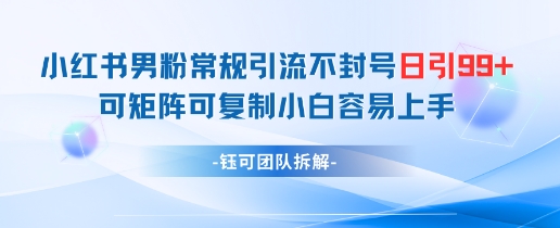 小红书男粉常规引流不封号日引99+变现简单 可矩阵可复制小白容易上手-秀人资源网