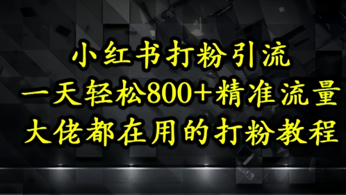 小红书打粉引流，一天轻松500+精准流量，大佬都在用的打粉教程-秀人资源网
