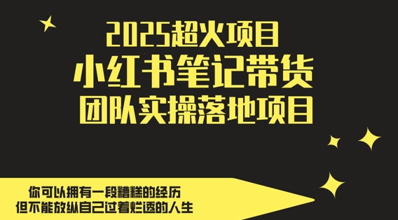 2025超火项目，副业最佳选择，小红书笔记带货团队实操落地项目，，轻松日入5张-整合资源网