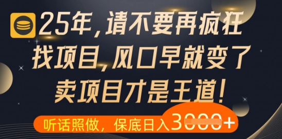 什么？25年你还在疯狂找项目做，醒醒吧，看完这些你全都懂了【揭秘】-秀人资源网