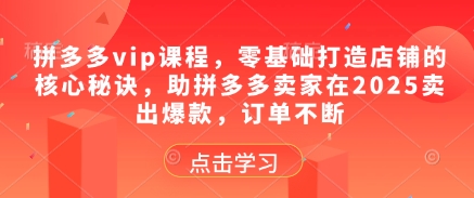 拼多多vip课程，零基础打造店铺的核心秘诀，助拼多多卖家在2025卖出爆款，订单不断-秀人资源网