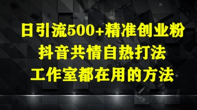 日引流500+精准创业粉，抖音共情自热打法，工作室都在用的方法-秀人资源网