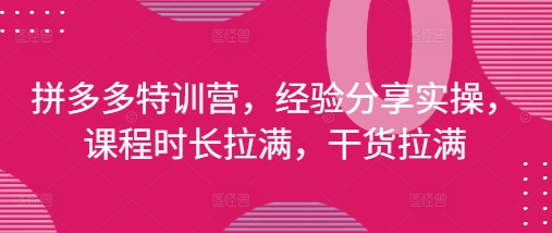 拼多多特训营，经验分享实操，课程时长拉满，干货拉满(更新25年4月)-整合资源网