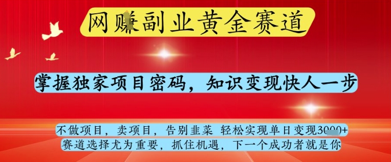 网创副业黄全赛道，掌握独家项目密码，知识变现快人一步，告别韭菜轻松实现单日变现1k+【揭秘】-秀人资源网