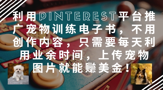 利用Pinterest平台推广宠物训练电子书，不用创作内容，只需要每天利用业余时间，上传宠物图片就能挣美金!-秀人资源网