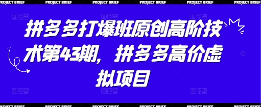 拼多多打爆班原创高阶技术第43期，拼多多高价虚拟项目-秀人资源网