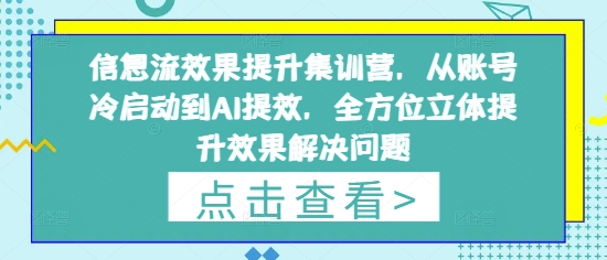 信息流效果提升集训营，从账号冷启动到AI提效，全方位立体提升效果解决问题-整合资源网
