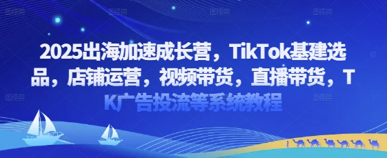 2025出海加速成长营，TikTok基建选品，店铺运营，视频带货，直播带货，TK广告投流等系统教程-秀人资源网