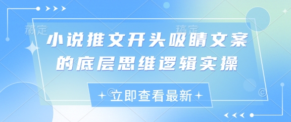 小说推文开头吸睛文案的底层思维逻辑实操-整合资源网