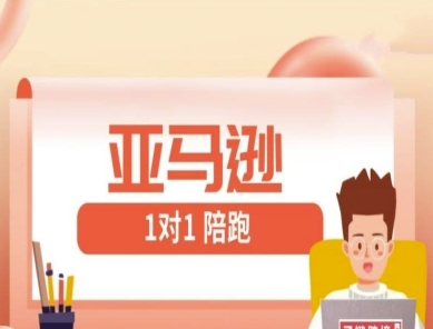 亚马逊1对1陪跑课(FBA/FBM精铺)跨境亚马逊教程-整合资源网