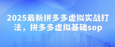 2025最新拼多多虚拟实战打法，拼多多虚拟基础sop-整合资源网
