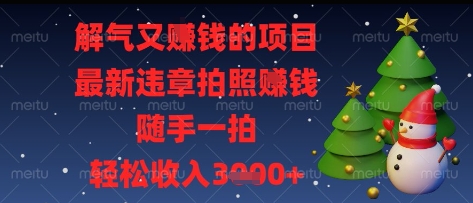 解气又挣钱的项目，最新违章拍照挣钱，随手一拍，轻松收入多张【揭秘】-整合资源网