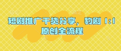 短剧推广干货分享，豹剧 1:1原创全流程-整合资源网