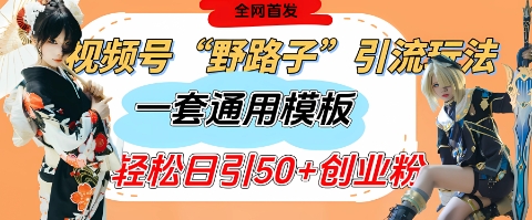 视频号“野路子”玩法，评论区疯狂截流，一套模板单日单号引流50+创业粉-秀人资源网