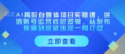 AI高阶自媒体项目实操课，讲透账号运营底层逻辑，从发布视频到规避违规一网打尽-秀人资源网