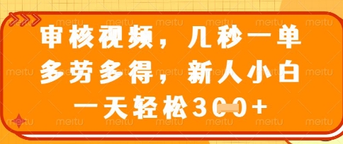 最新审核视频，几秒一单，多劳多得，新人小白一天轻松3张【揭秘】-整合资源网