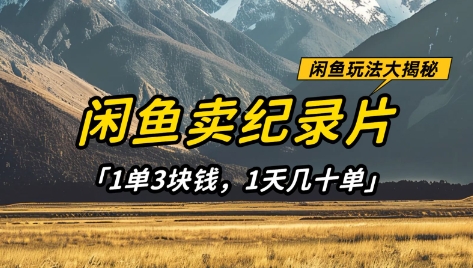 闲鱼卖纪录片1单3块钱，1天几十单，项目稳定有潜力-秀人资源网