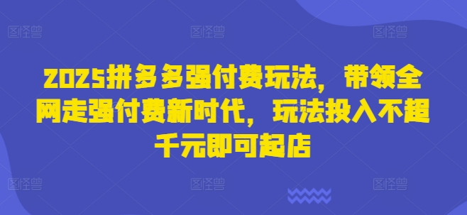 2025拼多多强付费玩法，带领全网走强付费新时代，玩法投入不超千元即可起店-整合资源网