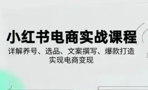 小红书从0-1实操课(2023-2025)，详解养号、选品、文案撰写、爆款打造实现电商变现-秀人资源网