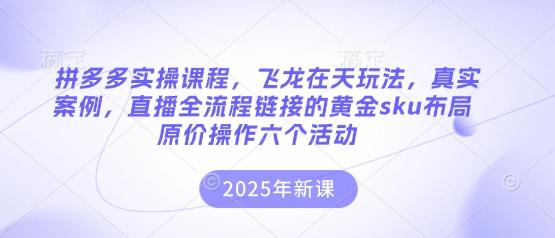 拼多多实操课程，飞龙在天玩法，真实案例，直播全流程链接的黄金sku布局原价操作六个活动-秀人资源网