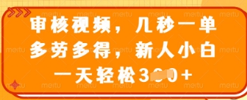 审核视频，几秒一单，多劳多得，新人小白一天轻松3张【揭秘】-秀人资源网