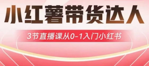 小红薯达人带货启航计划，3节直播课从0-1入门小红书-秀人资源网
