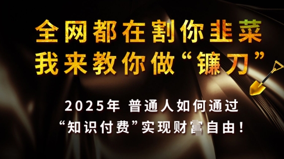 全网都在割你韭菜，我来教你做镰刀，2025普通人如何通过知识付费，实现财F自由【揭秘】-整合资源网