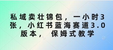 私域卖壮锦包，一小时3张，小红书蓝海赛道3.0版本， 保姆式教学-秀人资源网