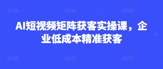 AI短视频矩阵获客实操课，企业低成本精准获客-整合资源网