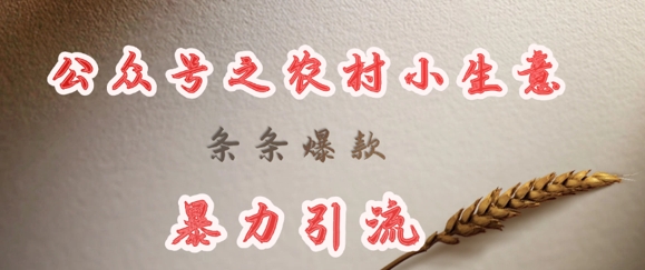 deepseek写农村小项目，条条爆款，暴力引流-秀人资源网