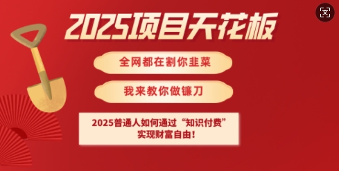 2025项目天花板普通人如何通过知识付费，实现财F自由【揭秘】-秀人资源网