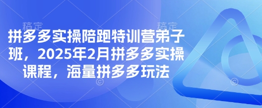 拼多多实操陪跑特训营弟子班，2025年2月拼多多实操课程，海量拼多多玩法-秀人资源网