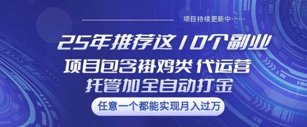 25年推荐这10个副业项目包含褂鸡类、代运营托管类、全自动打金类【揭秘】-整合资源网