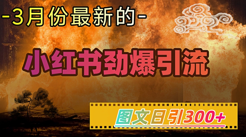 小红书超劲爆引流手段，图文日引300+轻松变现1W-秀人资源网