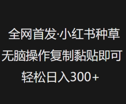 全网首发，小红书种草无脑操作，复制黏贴即可，轻松日入3张-秀人资源网