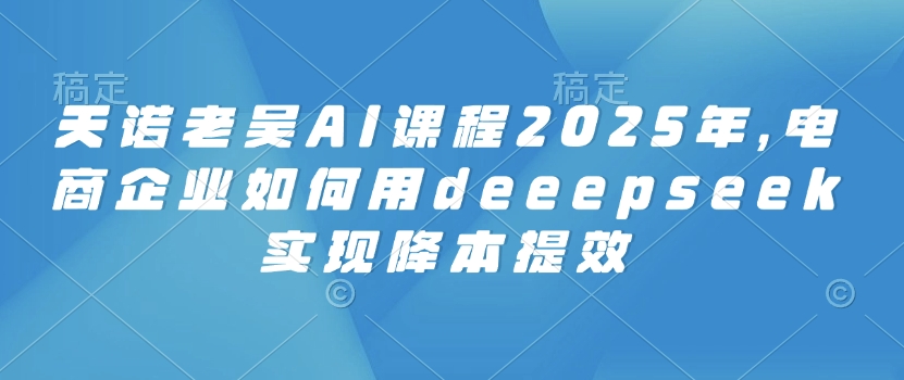 天诺老吴AI课程2025年，电商企业如何用deeepseek实现降本提效-整合资源网