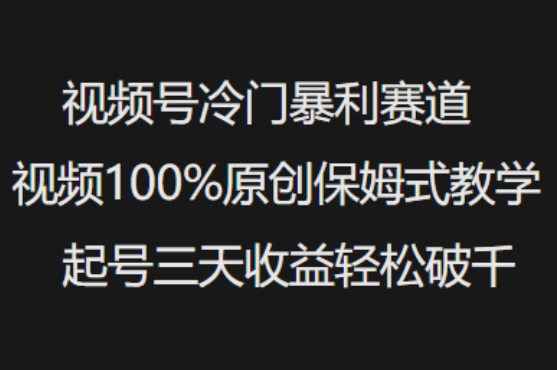 视频号冷门暴利赛道视频100%原创保姆式教学起号三天收益轻松破千-秀人资源网