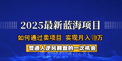 2025蓝海项目，普通人如何通过卖项目，实现月入过W，全过程【揭秘】-秀人资源网